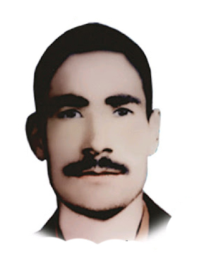 Martyr حسنعلی دلدارتربتی
